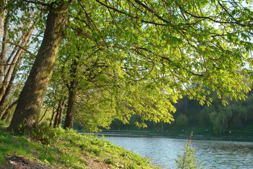 Монастириська з panoramio.com - Монастириська