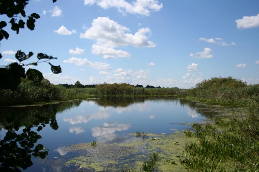 Бучин з panoramio.com - Бучин