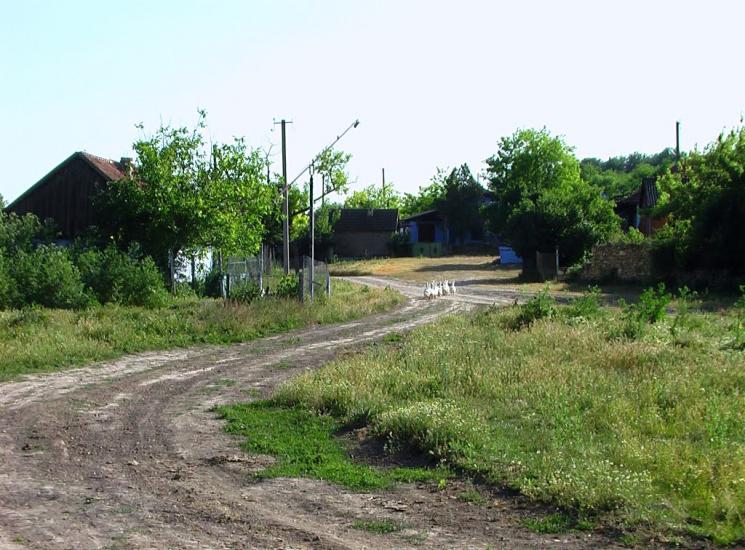Дубове з panoramio.com - Дубове