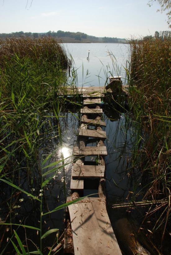 Черняки з panoramio.com - Черняки
