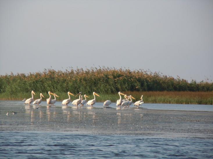 Приморське з panoramio.com - Prymorske