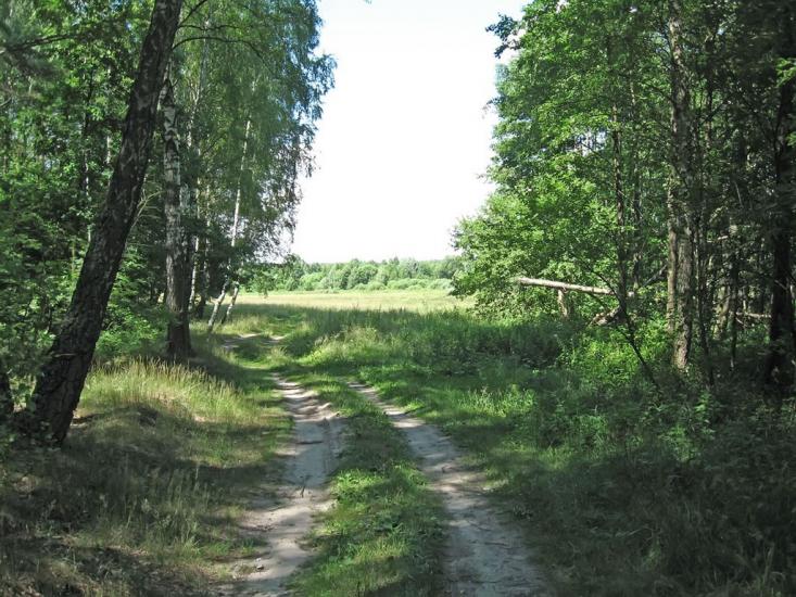 Кролевець з panoramio.com - Кролевец