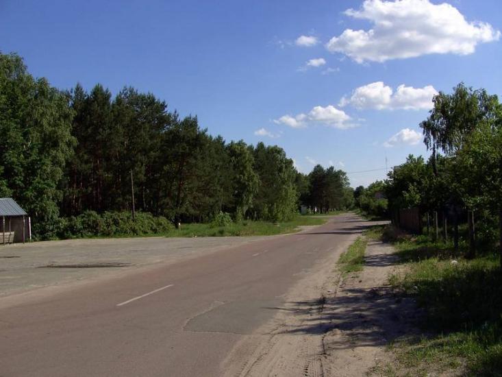 Проліски з panoramio.com - Prolisky