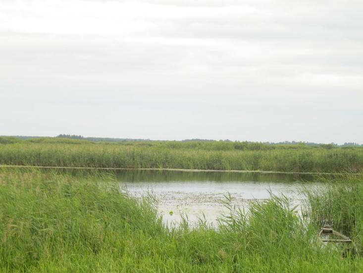 Хотешів з panoramio.com - Хотешів