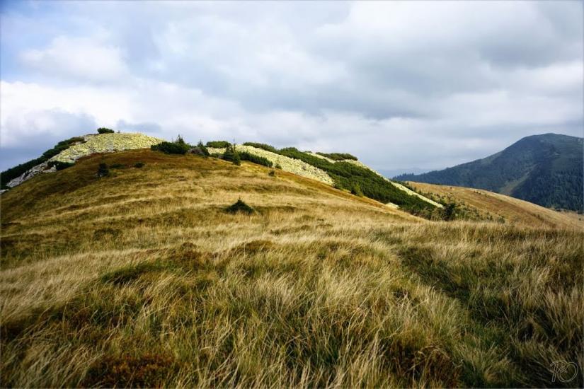 Береги з panoramio.com - Береги