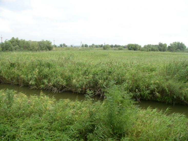 Біляївка з panoramio.com - Беляевка