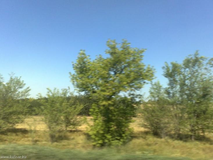 Григорівка з panoramio.com - Григоровка