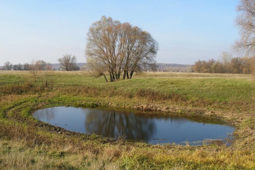 Липняк з panoramio.com - Липняк