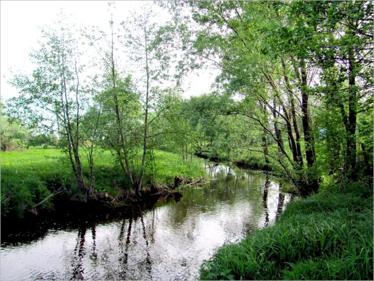 Сарни з panoramio.com - Сарни