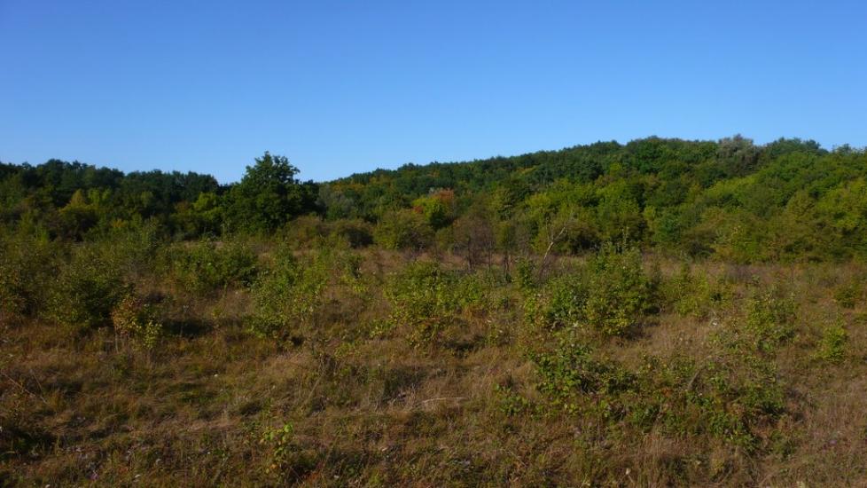 Великий Перевіз з panoramio.com - Великий Перевоз