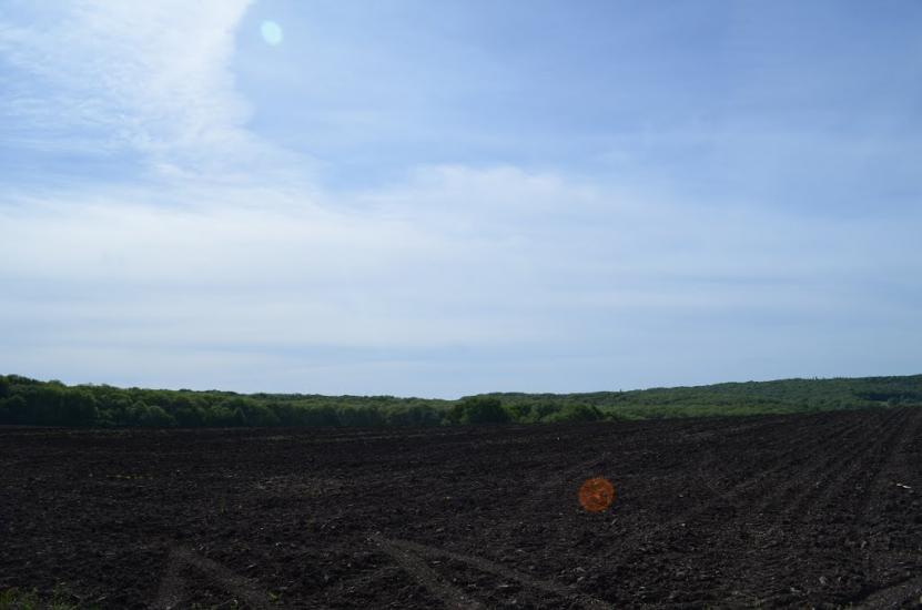 Лікарівка з panoramio.com - Лікарівка