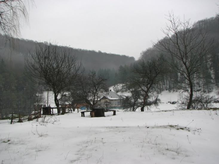 Криниця з panoramio.com - Криница