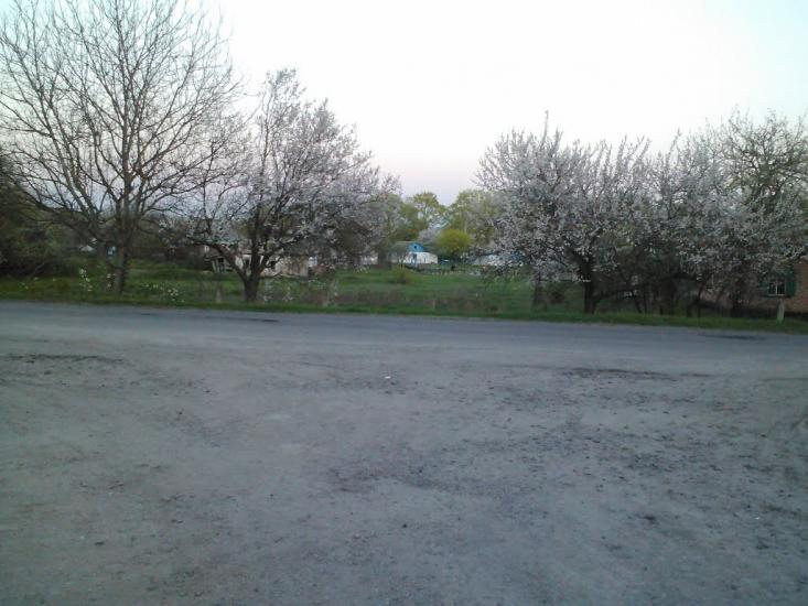 Білики з panoramio.com - Білики