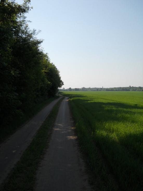 Кошляки з panoramio.com - Кошляки