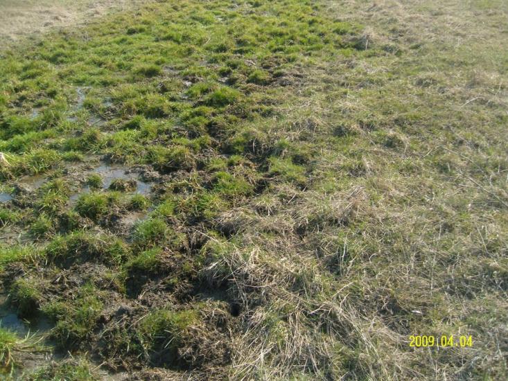 Летичів з panoramio.com - Летичев