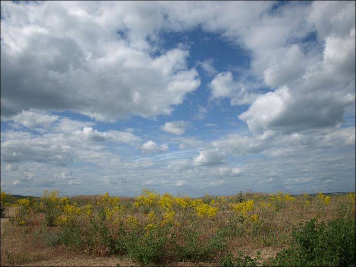 Мале з panoramio.com - Male