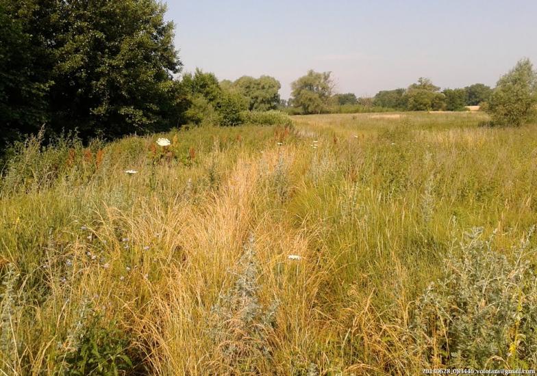 Переяслівка з panoramio.com - Переяслівка