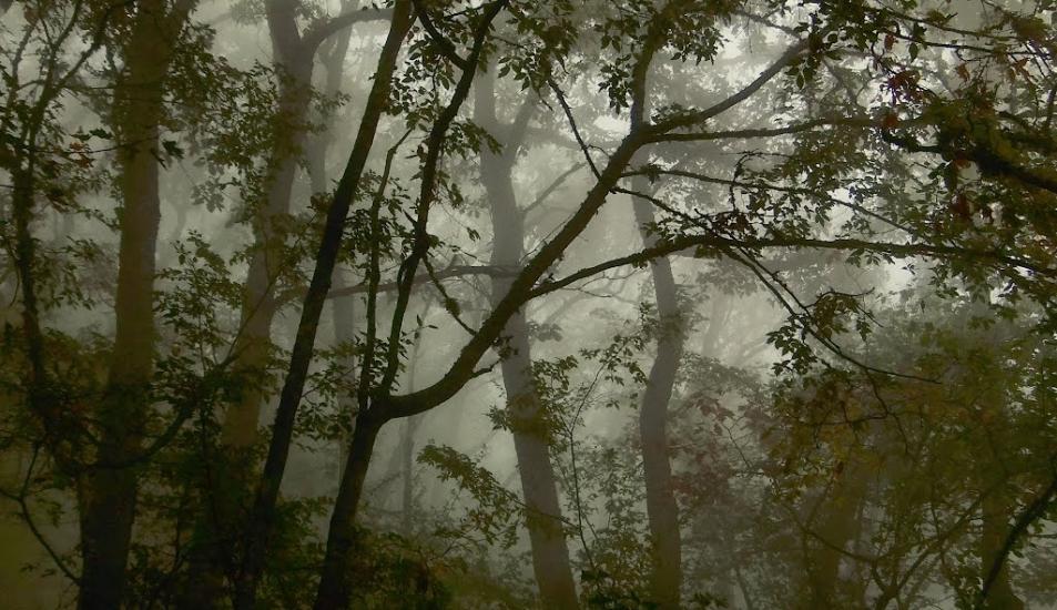 Гончарне з panoramio.com - Гончарне