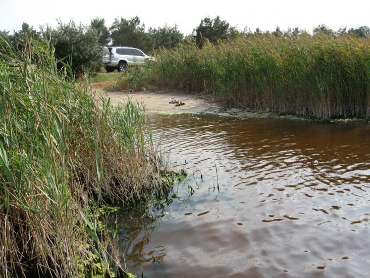 Раденськ з panoramio.com - Radensk