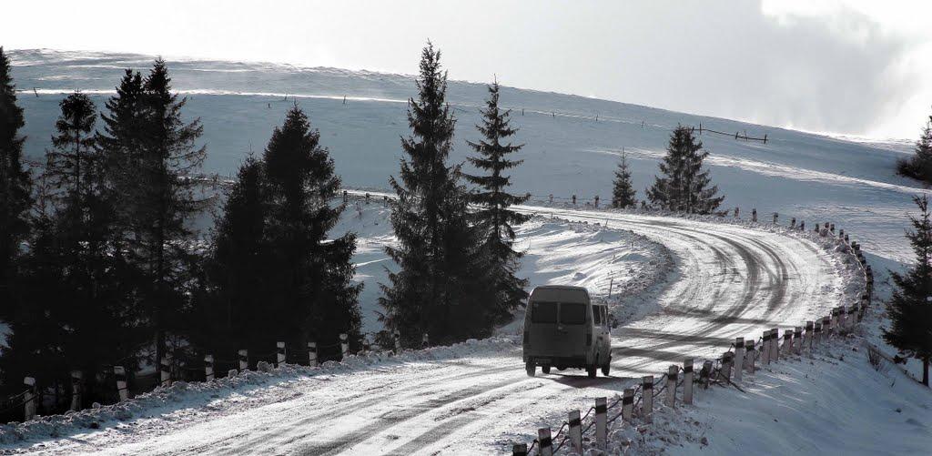 Лопушанка-Хомина з panoramio.com - Лопушанка-Хомина