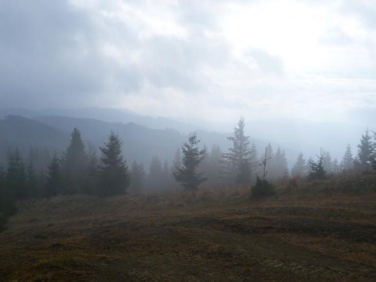 Лавочне з panoramio.com - Лавочное
