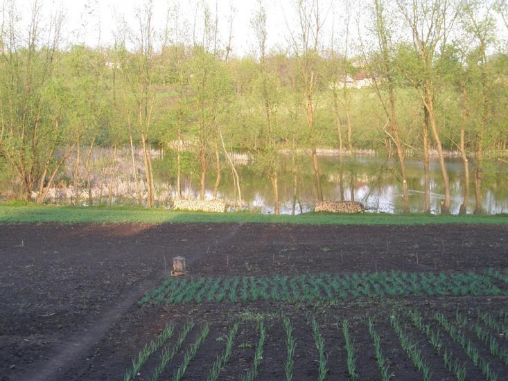 Чернятка з panoramio.com - Чернятка