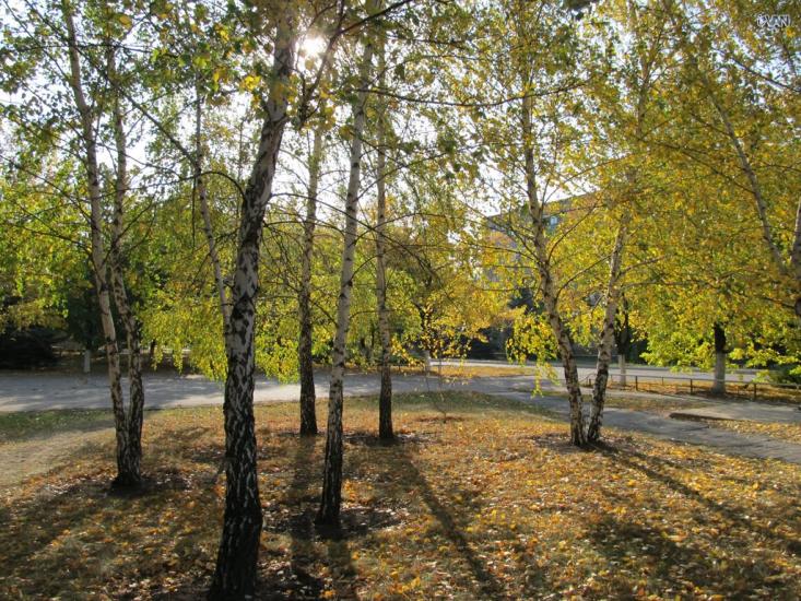 Світлодарськ з panoramio.com - Світлодарськ