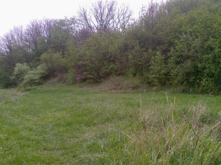 Зуївка з panoramio.com - Зуевка