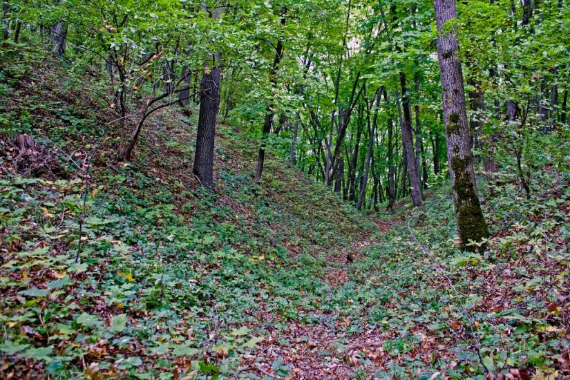 Гуменці з panoramio.com - Гуменцы