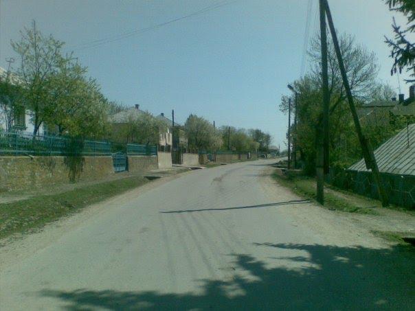 Козівка з panoramio.com - Козовка