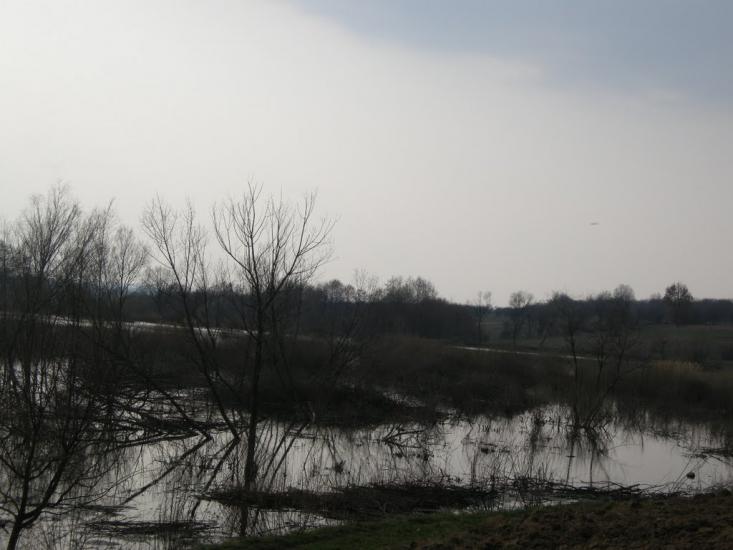 Думенки з panoramio.com - Думенки