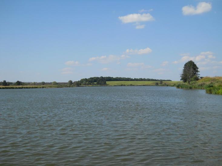 Кошляки з panoramio.com - Кошляки