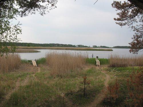 Лошакова Гута з panoramio.com - Лошакова Гута