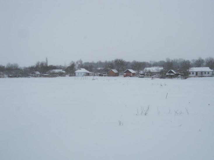 Олександрівка з panoramio.com - Oleksandrivka