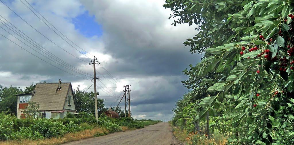 Придніпровське з panoramio.com - Приднепровское