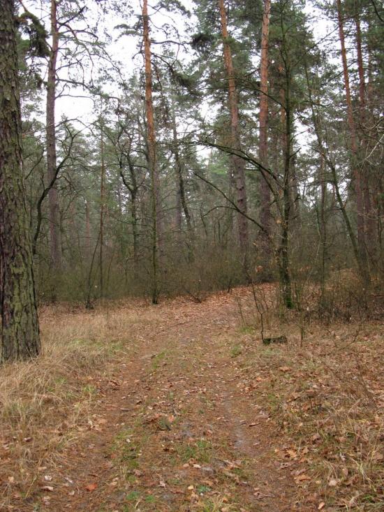 Чугуїв з panoramio.com - Чугуев