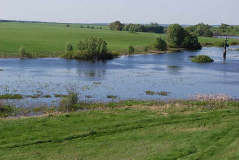 Безруки з panoramio.com - Безруки