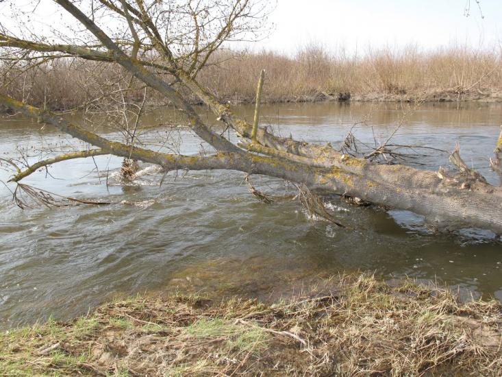 Бухарів з panoramio.com - Бухарів