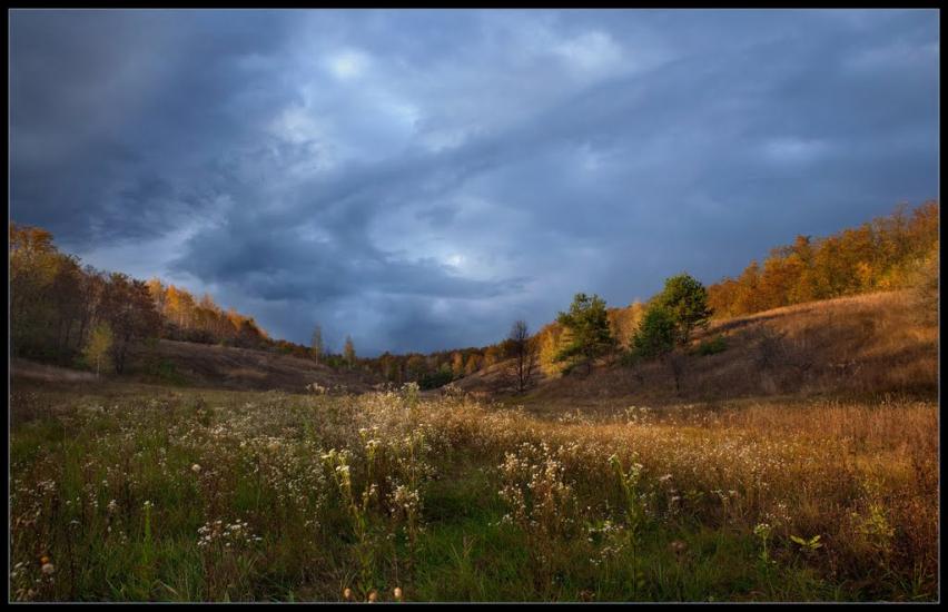 Польова з panoramio.com - Полевая