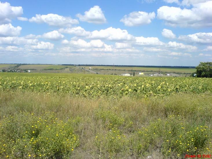Світле з panoramio.com - Светлое