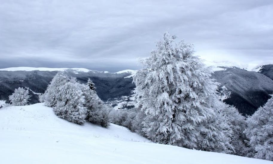 Кваси з panoramio.com - Квасы