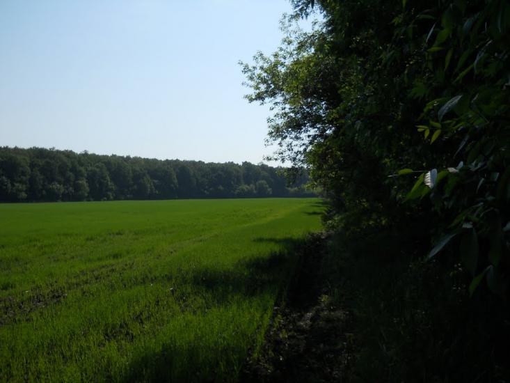 Дехтярка з panoramio.com - Дехтярка