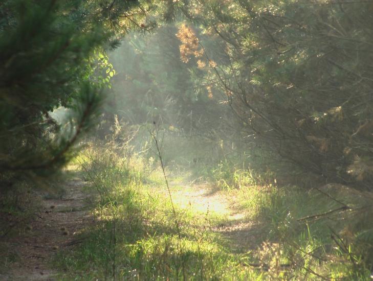 Масківці з panoramio.com - Масковцы