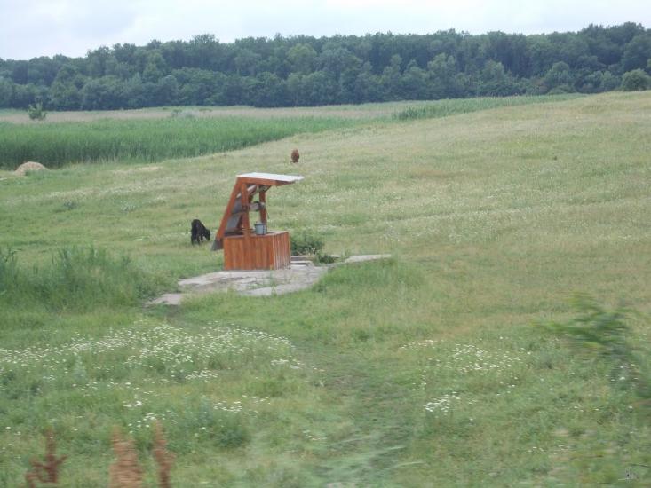 Новоселівка з panoramio.com - Новоселівка