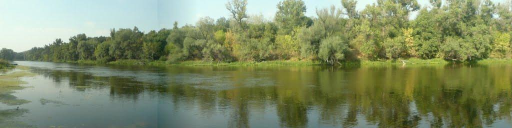 Нижнє з panoramio.com - Нижнє