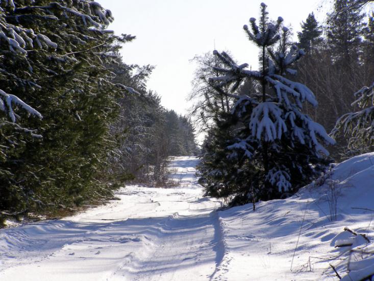 Воронове з panoramio.com - Воронове