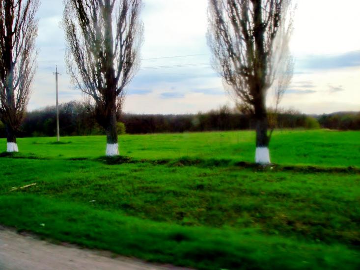 Лисянка з panoramio.com - Lysyanka