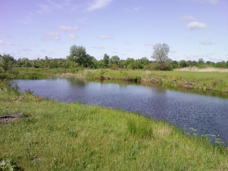 Іванків з panoramio.com - Иванков