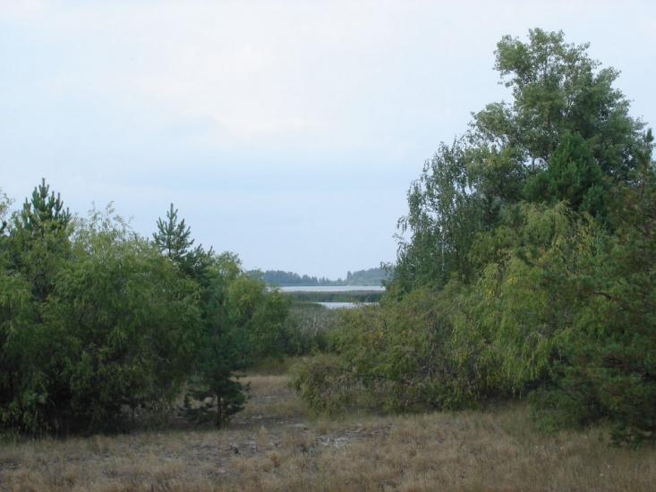 Ровжі з panoramio.com - Ровжи