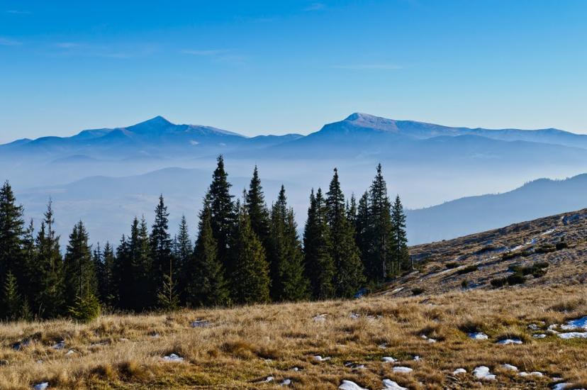 Чорна Тиса з panoramio.com - Черная Тиса